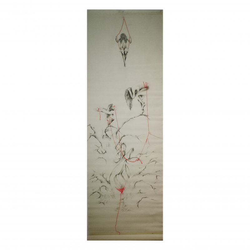 Laboratorio41  Art gallery