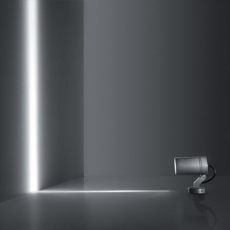 Micro stage tondo lama di luce