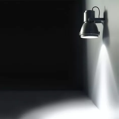 focus-1-e1652258501434