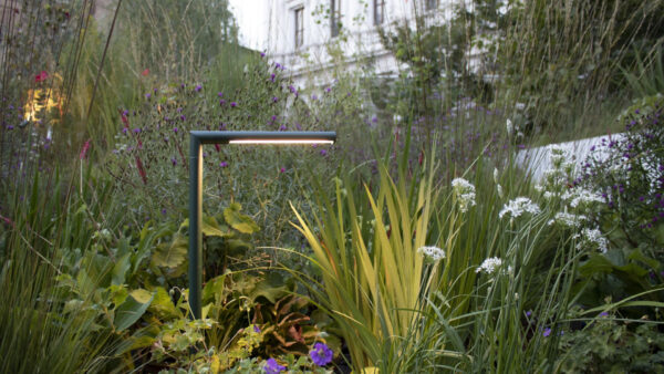 D_spillopaletto_orizz