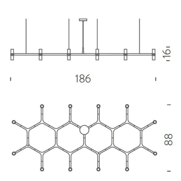 nemo-crown-plana-major-disegno